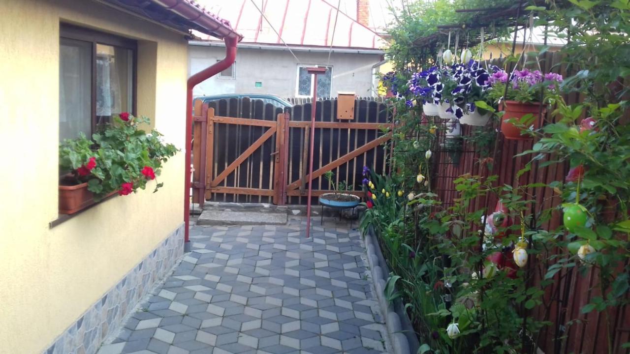 Hotel Casa Doina Buşteni Esterno foto