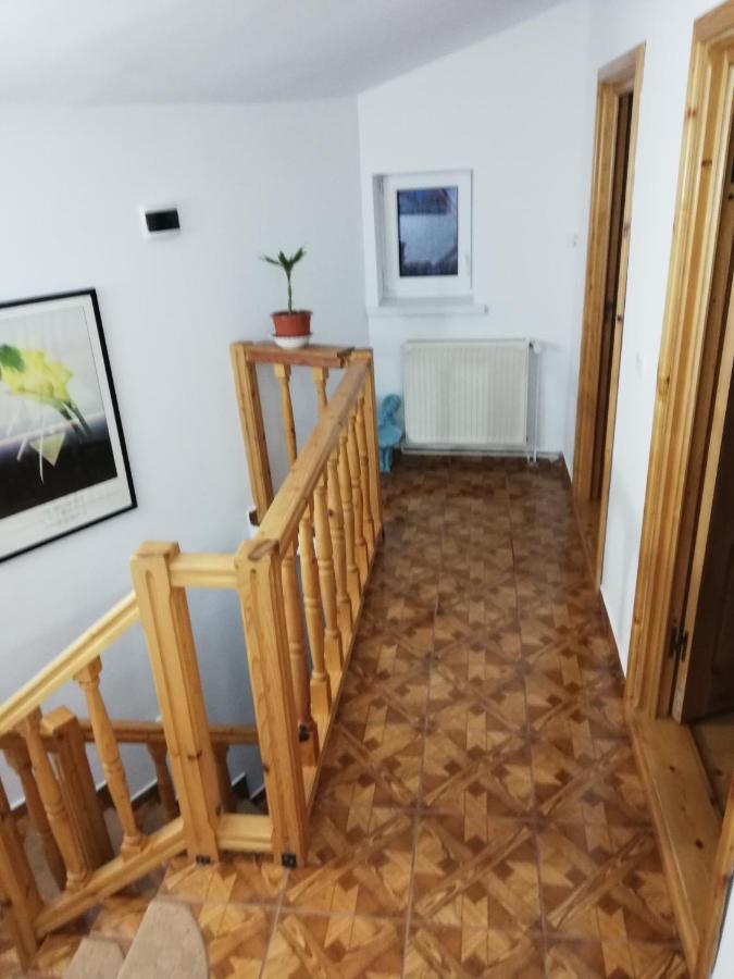 Hotel Casa Doina Buşteni Esterno foto